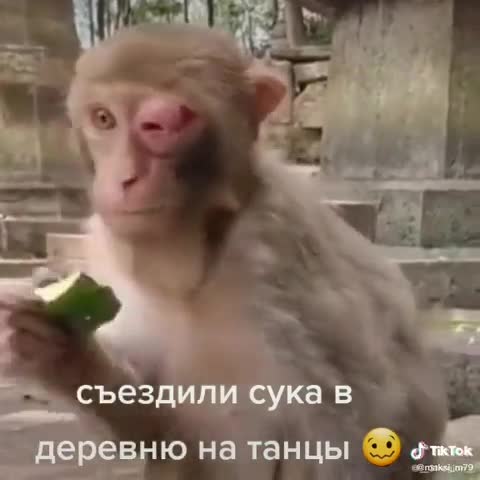 VID_20201104_WA0016-_im