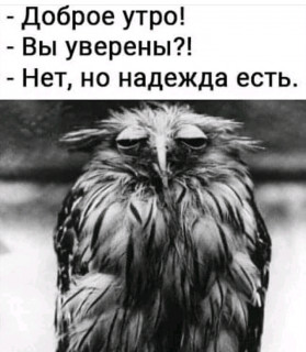 FB_IMG_16017698833889052