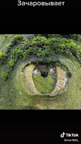 Foiz__VID-20201103-WA0004