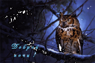 1501892814_1324-dobroy-nochi