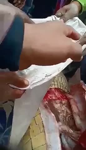 крокодильчик