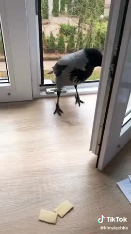 Валя_и_Валера