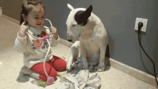 I4Xd0CFDyOF0bJzddhZg-small