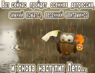 projdet-osennyaya-depressiya-zimnij-komatoz-vesennij-avitaminoz-i-snova-nastupit-leto