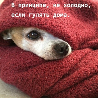 cykanova_-___CHVpjScHQEI___-