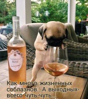 elkonatalia-___CHVrRssn_FB___-