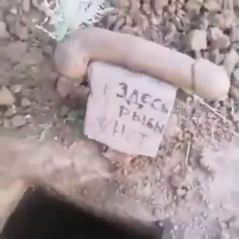 тут_рыбы_нет