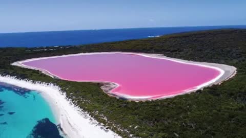 розовое_озеро