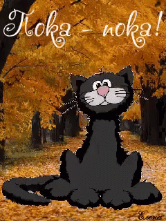 GIF-4a8fd541ceca4e1321b480a7387a283b