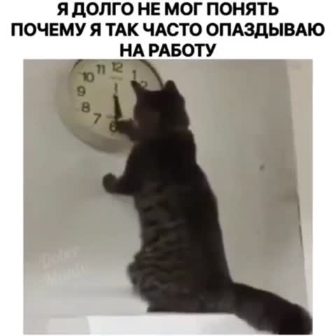 mikoteiki-___CHaJkXPIXZS___-
