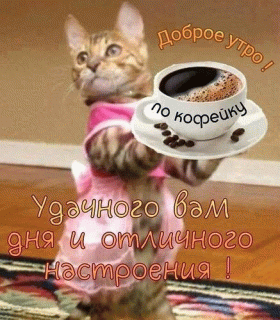 котэ_и_кофе