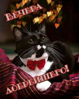 marinabazheno-___CHIiN0MlLAo___-