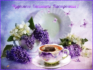 веснанастроение1605037415916