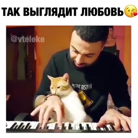 Так выглядит любовь