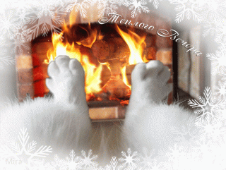 image_560401150033475510159