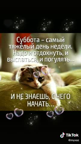 Замечательной_субботы