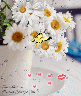 Добр утрромашки