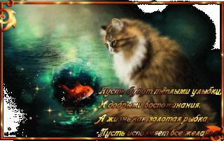 Пожелание