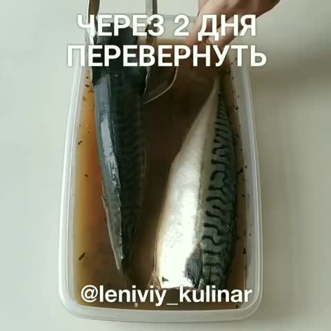leniviy_kulinar-___CHKfk1RqKlF___-