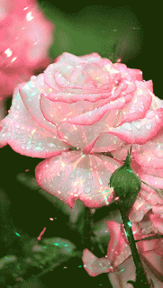 8efc4c9c38622ffbbb4597b324136d02