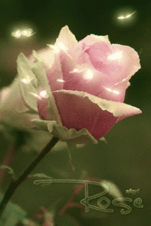 1387f98332c69c7f7db28c98cceb777f