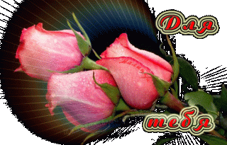 dlya-tebya-serye-rozy