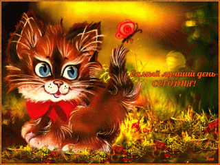 Samyiy-luchshiy-den-segodnya--1024x768