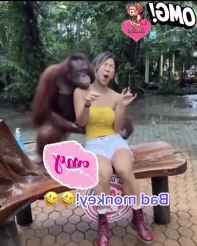 Foiz__video-379770794332c98be354903ae08082c8-V_1