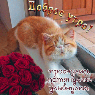 kartinki-life--otkrytki-mercaushhie-animacionnye-blestyashhie-gif-s-dobrym-utrom-7-1