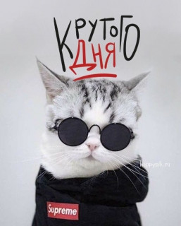 sychevaliubov9385-___CHsMixqnqmk___-