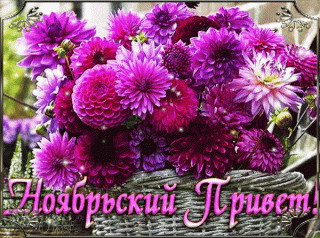 noyabrskij-privet