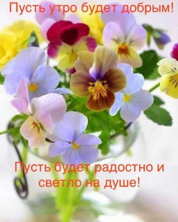 sychevaliubov9385-___CHo2_4wDEs9___-