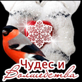 Чудеса