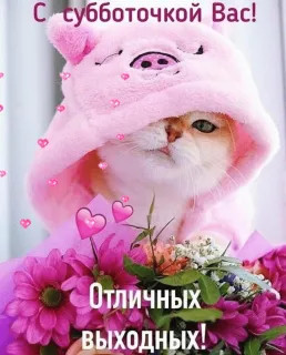 Вас