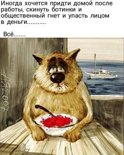 moi_mir_pozitiva-___CHuv3bWnw3-___-