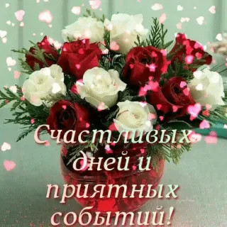 Дней