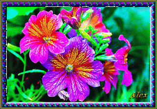 treugolnik-krasivye-kartinki-dlya-plansheta-skachat-besplatno