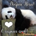 IMG_20201123_161603_382