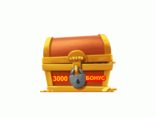 3000