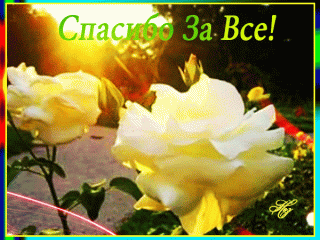 spasibo-za-vse_1