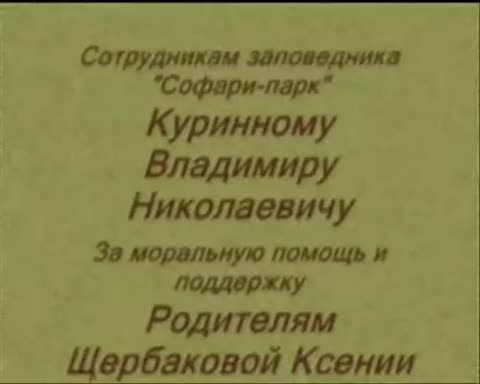 Би-2__Сокол_не_вышел_на_связь