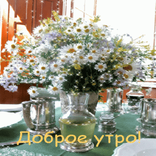 открытка_доброе_утро_цветок