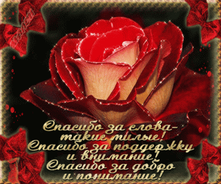 spasibo-za-slova-takie-milye-spasibo-za-podderzhku-i-vnimanie