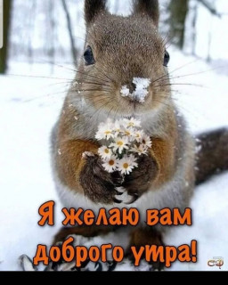 nadezdanadiysa-___CICrwBcjzin___-