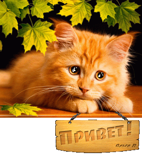 1o7cs07e1mb2mccuob8se2auc2smd2dl