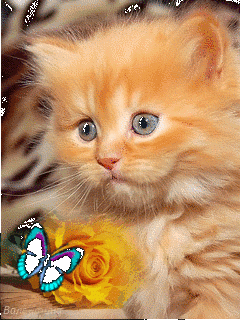 476313-926b09437f018552