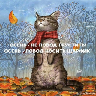 t1eNvh4nCok