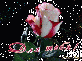 dlya-tebya-dnem-rozhdeniya-inna-plejkast