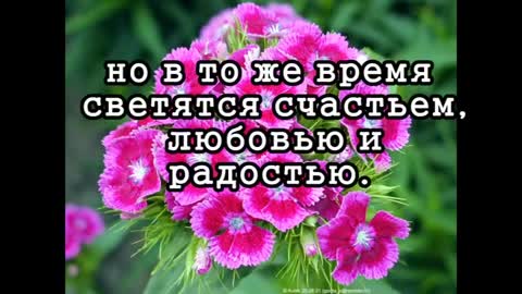 pritcha-o-zhenshhine