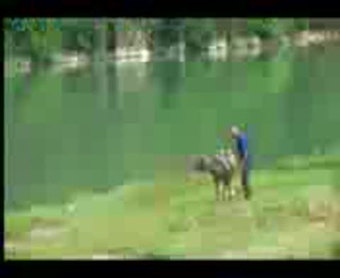 Человечество-_мы_свернули_не_туда